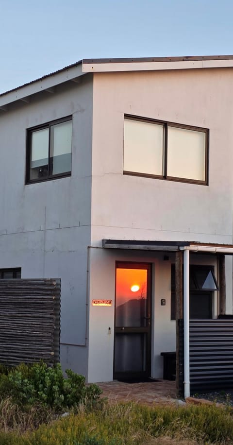 Kleinblom in Pringle Apartment in Cape Town