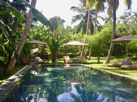 Swimming pool, Swimming pool