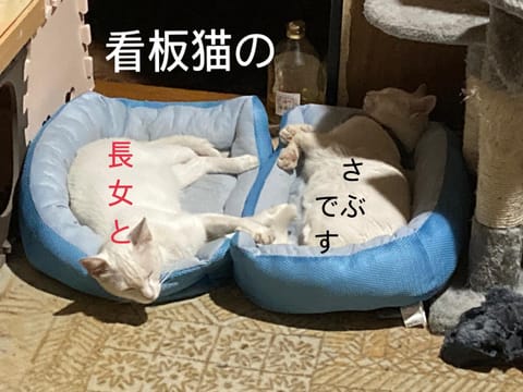 Animals