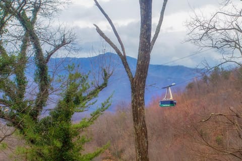 Four Bears Den, Free Attraction Tickets, Hot Tub, Arcade Game, Gatlinburg, WIFI!!! Chalet in Chalet Village