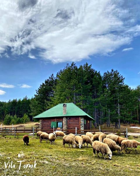 Vila Mali Tornik House in Zlatibor District, Serbia