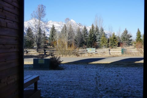 Garden, View (from property/room)