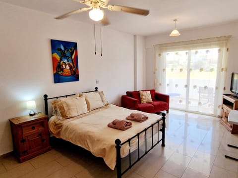 B103 Vanessa Lovely Studio Apartment in Peyia