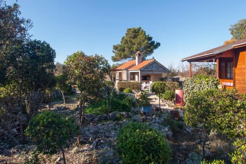 Patio, Garden, Garden view