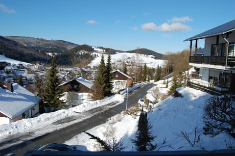 Natural landscape, Winter, Mountain view