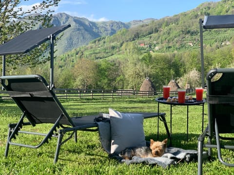 Zvjezdana dolina Garni hotel Hotel in Montenegro