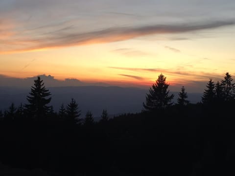 JOPA Suncani breg Apartment in Serbia