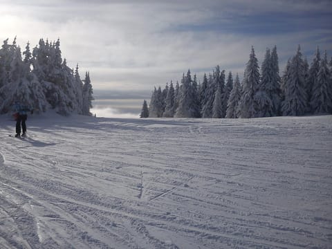 JOPA Suncani breg Apartment in Serbia