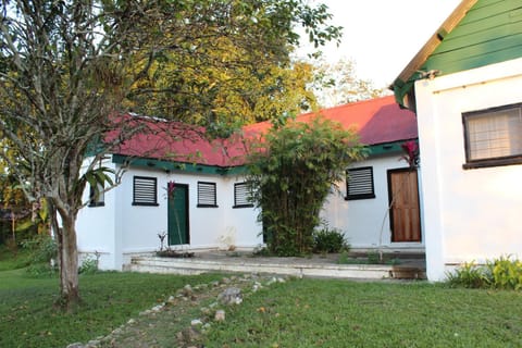 Property building, Garden, Garden view