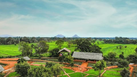 Natural landscape, Bird's eye view, Garden view