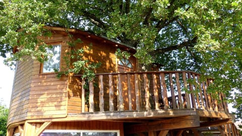 Les dauphins de Mareuil Bed and Breakfast in Centre-Val de Loire