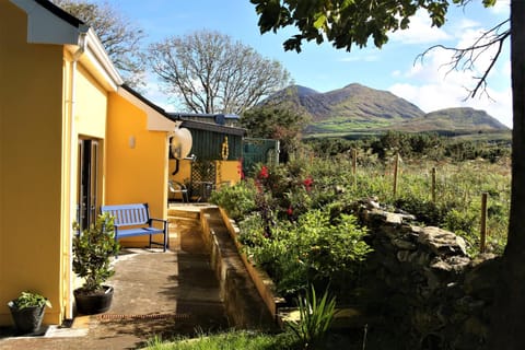 Property building, Bird's eye view, Garden