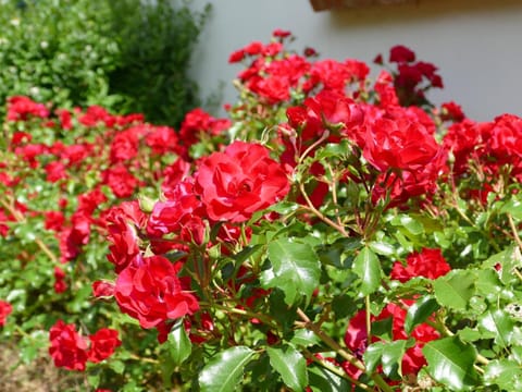 Natural landscape, Hiking