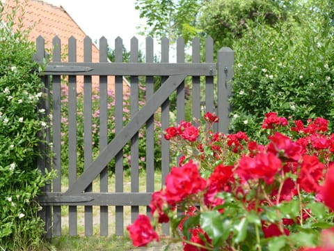 Property building, Patio, Garden, Balcony/Terrace