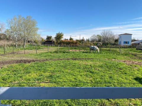LES MAISONS DU PATY House in Saintes-Maries-de-la-Mer