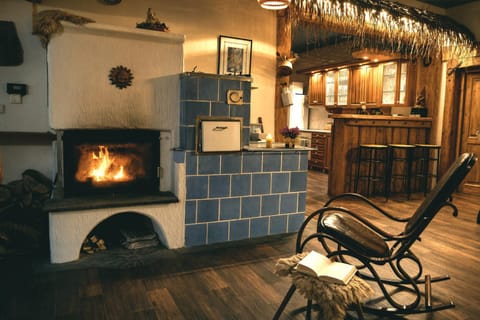 Lounge or bar, fireplace, heating