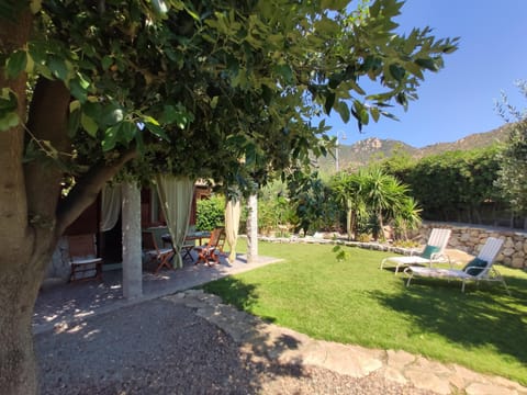 Garden, Garden view, sunbed