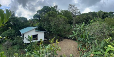 Natural landscape, Garden view