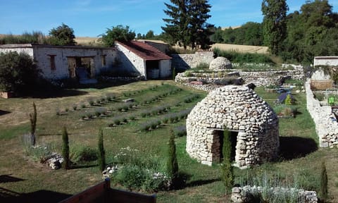 Garden, Decorative detail, Garden view