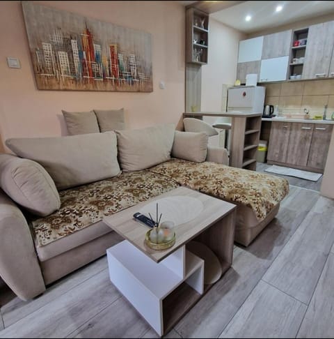 Square Apartment Apartment in Serbia