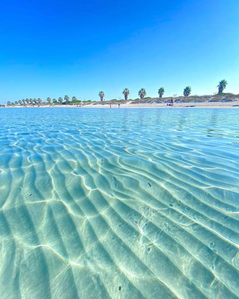 Seaside Elegance 50m from the Beach House in Pittulongu