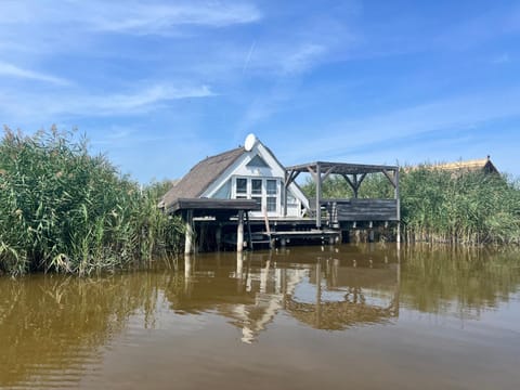 Lake view