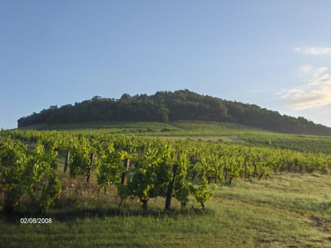 Natural landscape