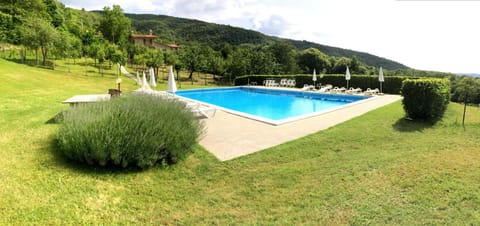 Pool view, Swimming pool, Swimming pool