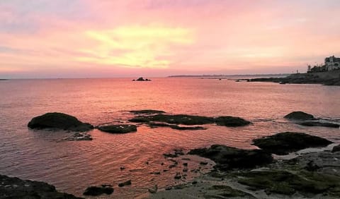 Les Aigrettes - Appartement spacieux - Terrasse et garage Apartment in Concarneau