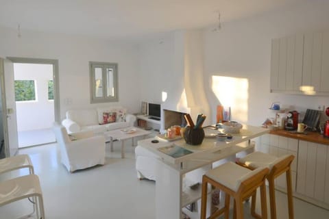 EMELIAS HOUSE SEA SIDE House in Naxos, Naxos and Lesser Cyclades, Greece