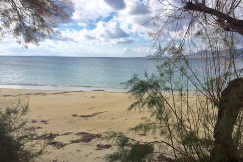 EMELIAS HOUSE SEA SIDE House in Naxos, Naxos and Lesser Cyclades, Greece