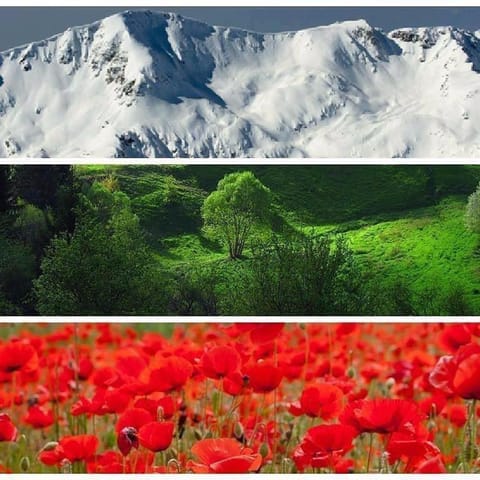 Natural landscape