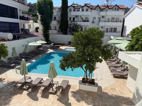 Garden, Swimming pool, sunbed