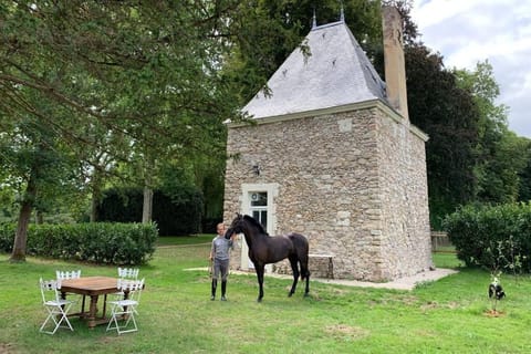 Property building, Garden, Animals