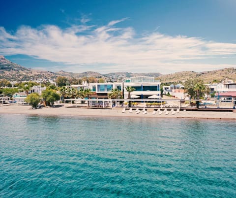 Bird's eye view, Beach