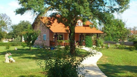 House Toni for 8 persons House in Šibenik-Knin County, Croatia