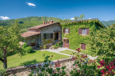 Property building, Garden view