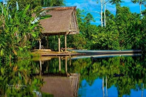Natural landscape