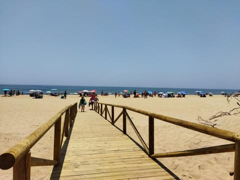Nearby landmark, Natural landscape, Fishing, Beach, Beach, Dinner