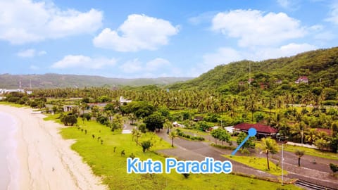 Property building, Nearby landmark, Restaurant/places to eat, Day, Neighbourhood, Natural landscape, Beach, Street view, Location