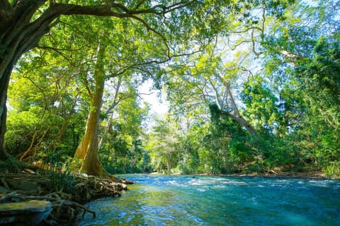 Nearby landmark, River view