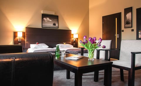 Living room, Photo of the whole room, Seating area, Bedroom