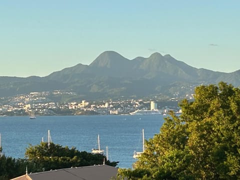 Lake view
