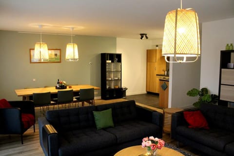 Kitchen or kitchenette, Living room, Photo of the whole room, Seating area, Dining area