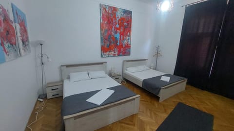 CATALINA RESIDENCE CENTRAL Apartment in Timisoara