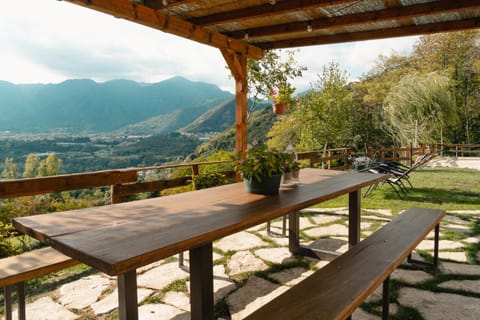 View (from property/room)