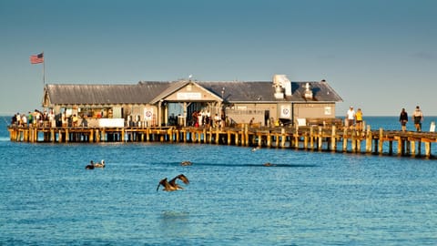 Runaway Bay 184 - 1652814 Apartment in Bradenton Beach