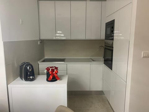 City Center Apartment Apartment in Federation of Bosnia and Herzegovina