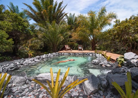 Natural landscape, Garden, Garden view, Pool view, Swimming pool, sunbed