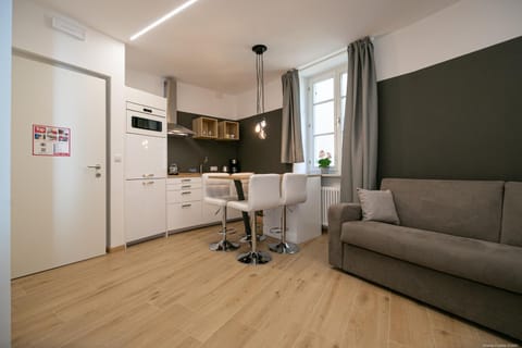 Kitchen or kitchenette, Living room, Photo of the whole room, Decorative detail, Seating area, Dining area